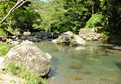 大自然の中で川遊びも楽しめます！